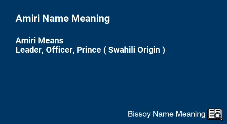 Amiri Name Meaning