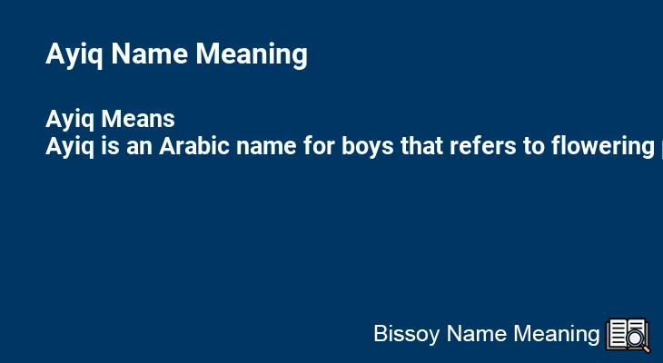 Ayiq Name Meaning