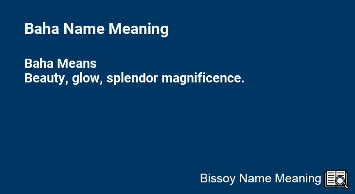 Baha Name Meaning