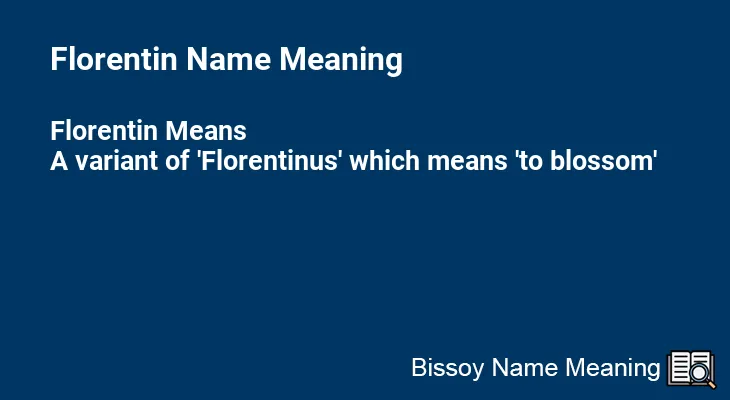Florentin Name Meaning