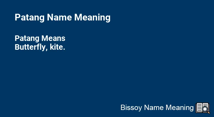 Patang Name Meaning