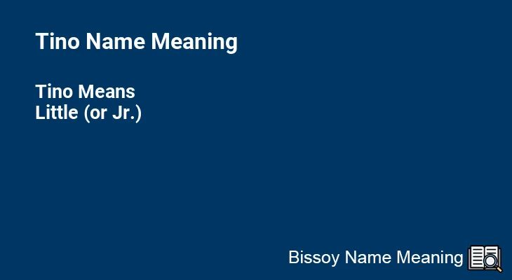 Tino Name Meaning